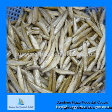 frozen whitebait fish